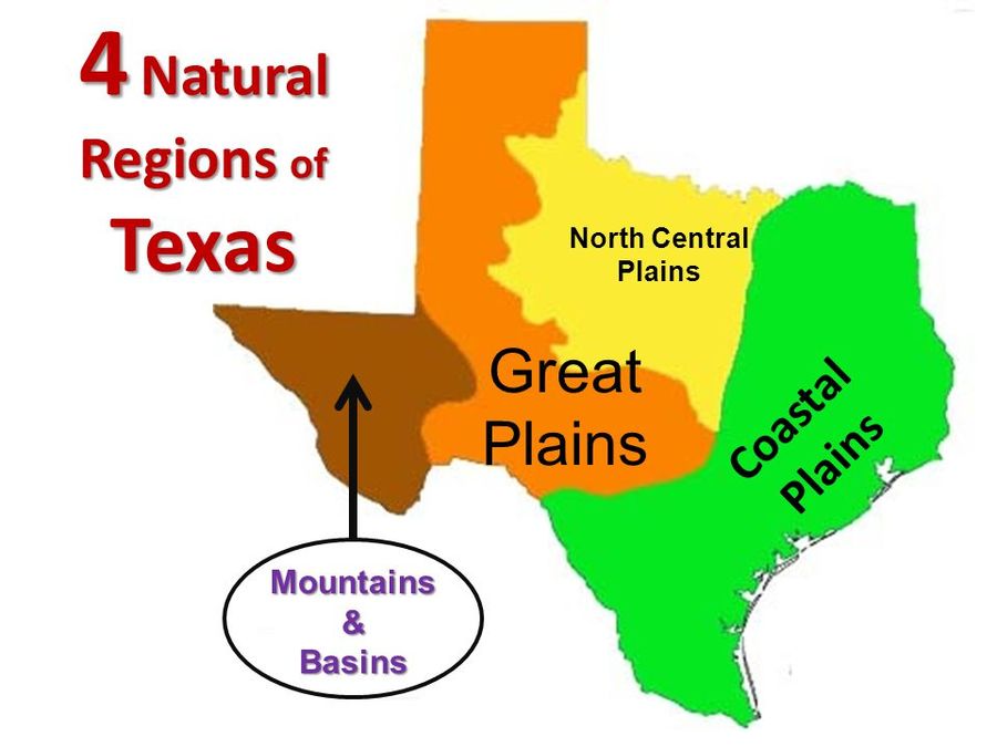 s-9 sb-4-Regions of Texasimg_no 13.jpg
